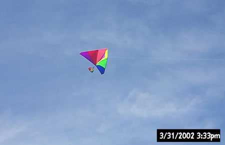 kite flying