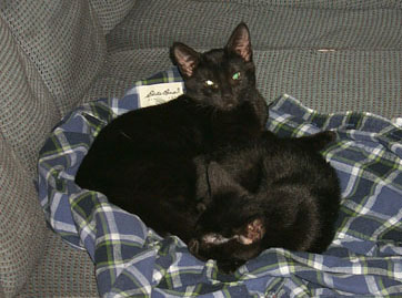 Mulder and Scully