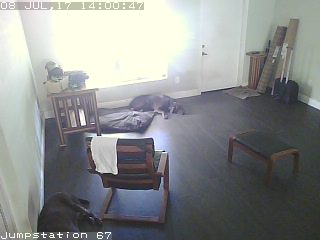 Live - KittyCam
